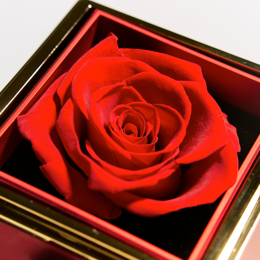 Eternal Rose Gift Box